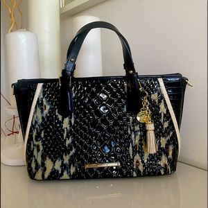 🌹Brahmin Mini Asher Satchel Black Carlisle